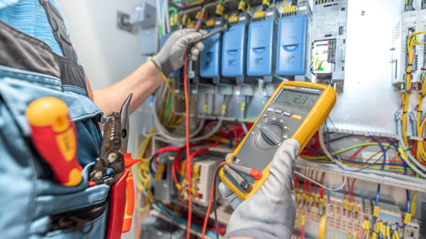 Best Electric Panel Repair  in Hamilton, AL